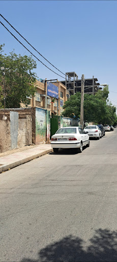 راهنمایی منتصرین شاهد
