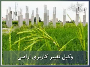 حسن علی یاری