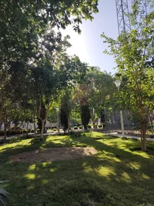 بوستان گل محمدی