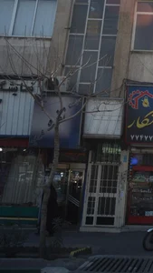 گالری نقره شلیله 3
