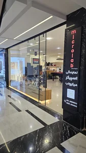میکرولب