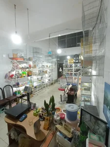 پرنده سرای تبریز کاکاتیل 2