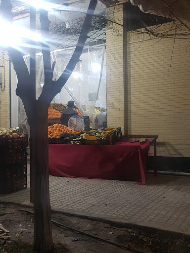 میوه فروشی برادران حمیداوی