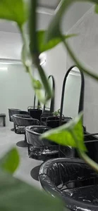 سالن زیبایی الی جوکار 2