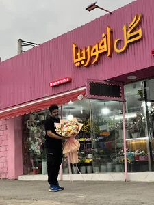 ولایت۴