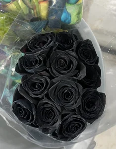 پخش عمده رزهلندی حسینی