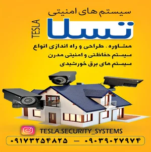 سیستم های امنیتی تسلا