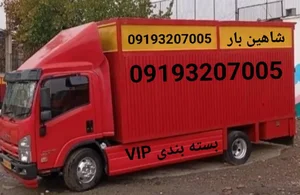 شاهین بار کامرانیه 2