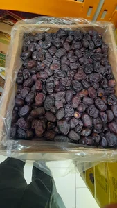 خرما ورطب سالار