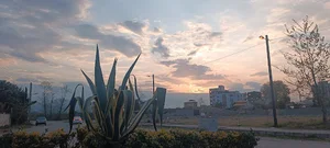 پرده سرای خزر