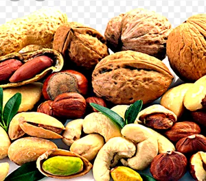 خشکبار نادر