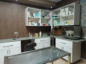 کلینیک دامپزشکی دکتر فراهانی 3