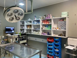 Dornika pet hospital 4