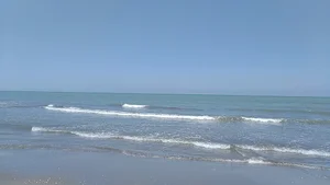 ساحل پارک ملت