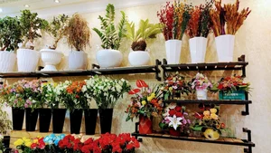 فروشگاه شهر گل 5