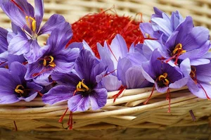 فروش زعفران و زرشک ایمانی
