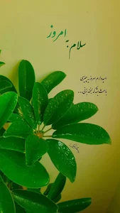 کافی نت شهر
