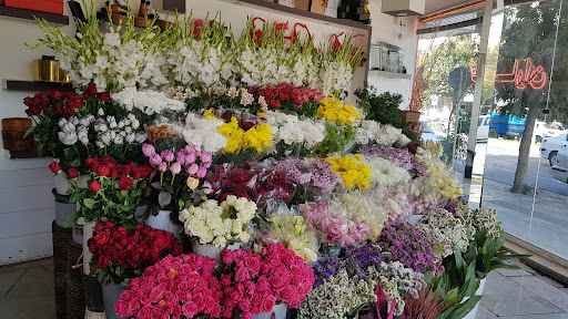 گل فروشی گلباران
