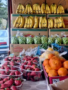 دکه میوه فروشی مرادی