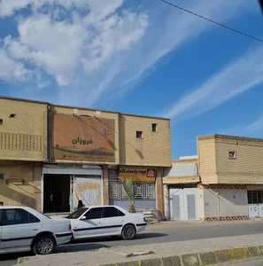 مرغ فروزان