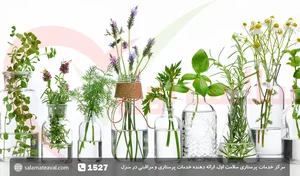 درمانگر و مشاور طب سنتی