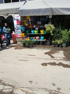 محلاتی 3