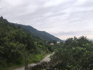 چشمه رحمت آباد ملک میان