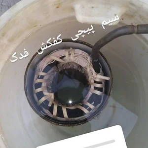 سیم پیچی وحید قره گوزی