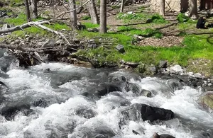 باغات رودخانه رُستا