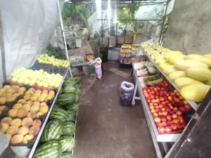 میوه فروشی باغ بهشت