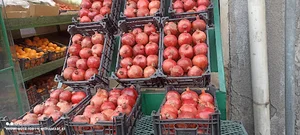 سوپر میوه چهارفصل