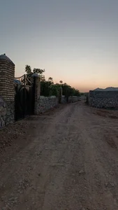 خیابان گلستان