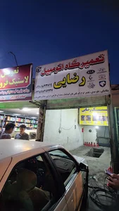 تعمیر خودرو رضایی