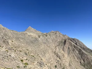 دره بید بالا