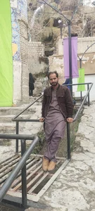 گلاب کعبه نیاسر