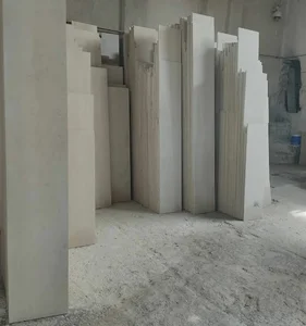 سنگبری صدف نو