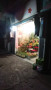 گل فروشی زیبا