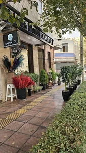 گل آدونیس Adonis Flowershop
