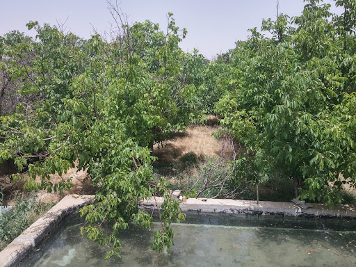 باغ علی اکبر چنگیزی