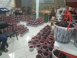 فروشگاه کشاورزی 130