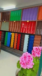مرد سنگی