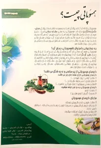 Dr. Fatemeh Sigari