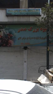 خانه شومینه 2