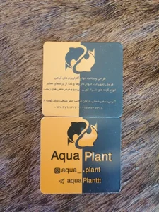 اکواریوم آکوا پلنت 2