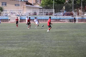 زمین چمن فوتبال پاس 4