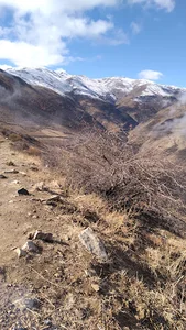 روستای تازه کند