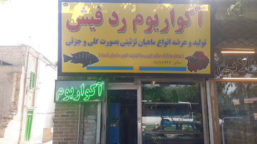 اکواریوم رد فیش
