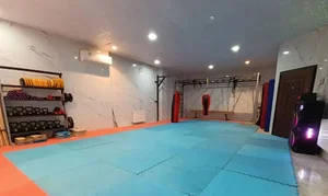 باشگاه ورشی آرین