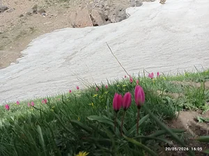 Kewbori Peak