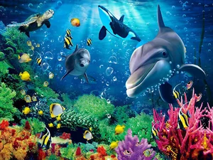 بزرگترین مرکز پخش حاشیه کاشی و تک گل خلیفه زاده